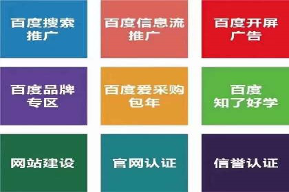 百度SEO推广策略解析：某知名企业的成功经验